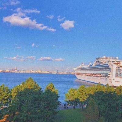 加拿大pc入口下载手机版