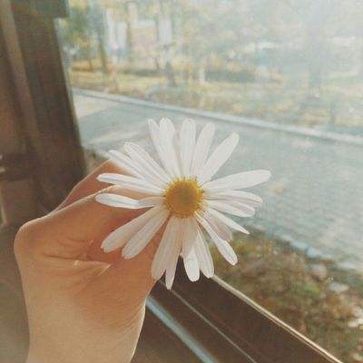 球探下载手机版